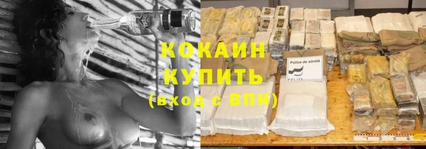 спиды Инсар