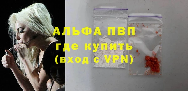 СК Инта
