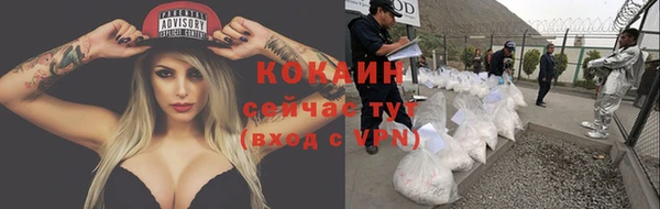 PSILOCYBIN Иннополис