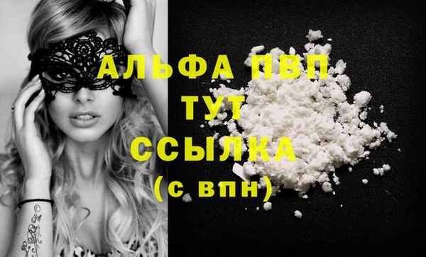 спиды Инсар