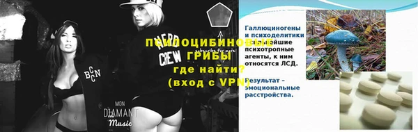 спиды Инсар