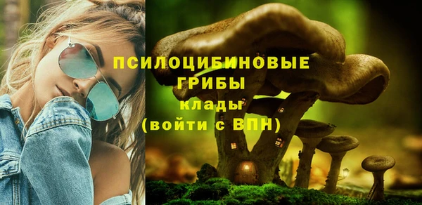 спиды Инсар