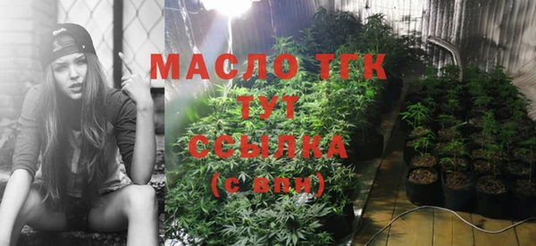 СК Инта
