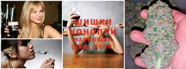 спиды Инсар