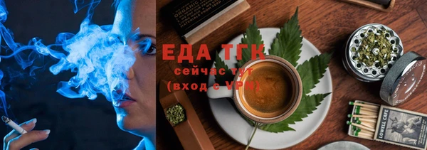 СК Инта