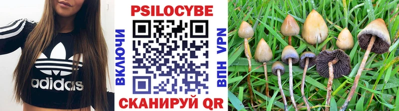 Купить закладки  Болотное  Галлюциногенные грибы Psilocybine cubensis 